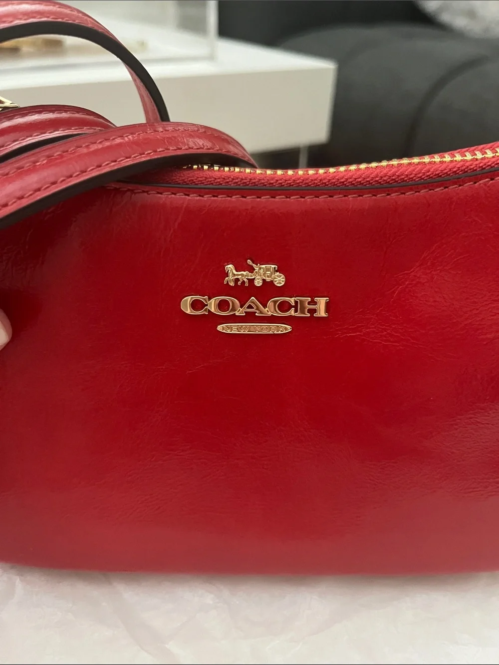 Coach Mini Teri - Picture 5 of 9